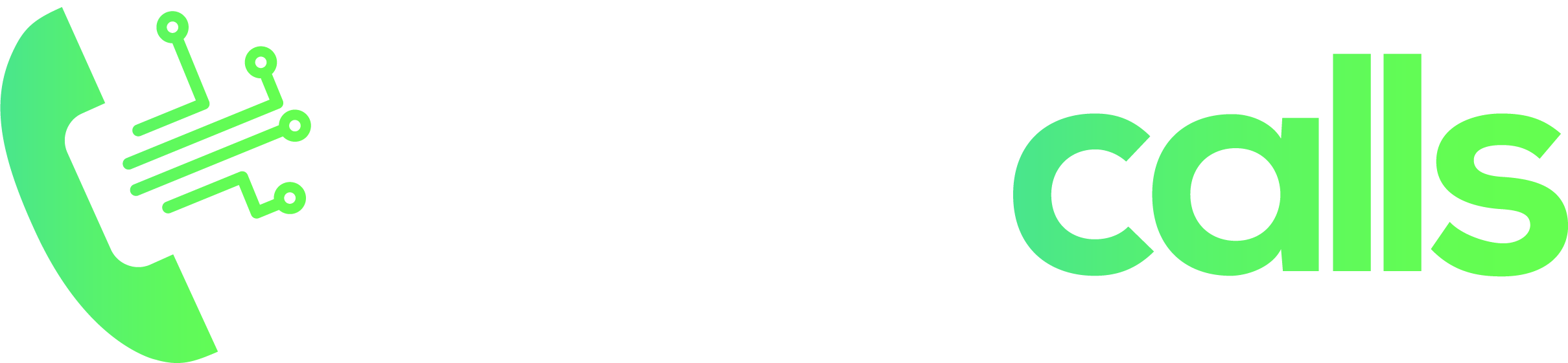 Polavis logo